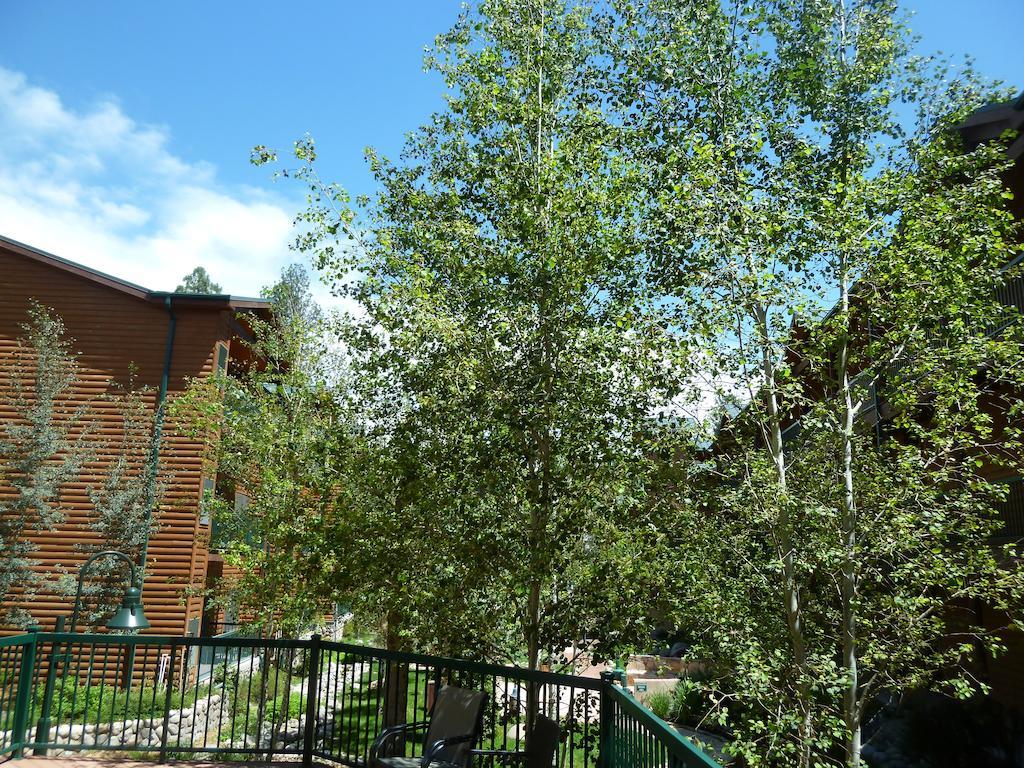 Ruidoso River Resort Condos Ngoại thất bức ảnh